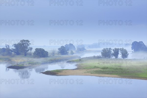 Mist at sunrise at the UNESCO Biosphere Reserve Elbe River Landscape