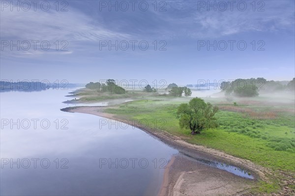 Mist at sunrise at the UNESCO Biosphere Reserve Elbe River Landscape