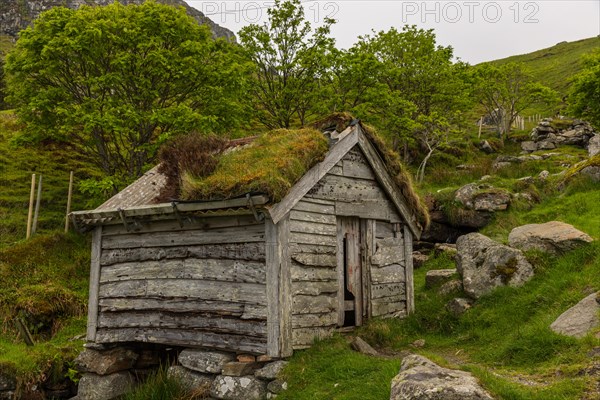 Dilapidated hut at the bird rock on Runde Island