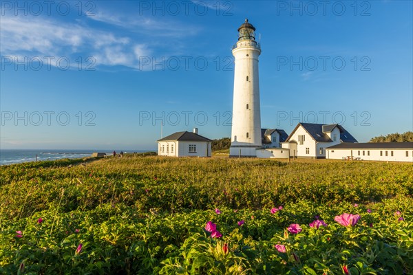 Evening atmosphere at Hirtshals lighthouse