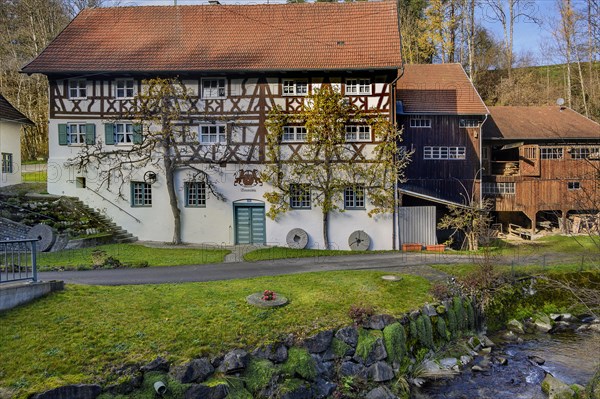 Half-timbered house with espalier trees