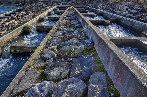 The Iller barrage 5 Fluhmuehle with fish ladder near Altusried