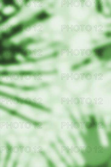 Abstract vertical green background with shade of palm leaves
