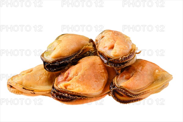 Boiled and peeled mussels isolated on white background
