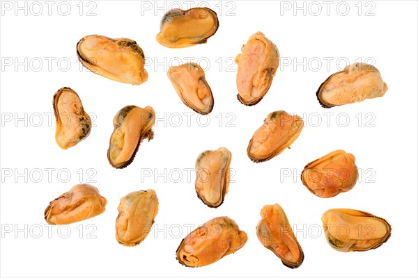 Top view of boiled and peeled mussels isolated on white background
