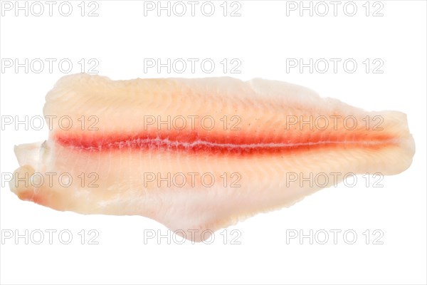 Top view of fresh raw fillet of pangasius isolated on white background