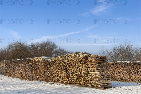 Stacked firewood