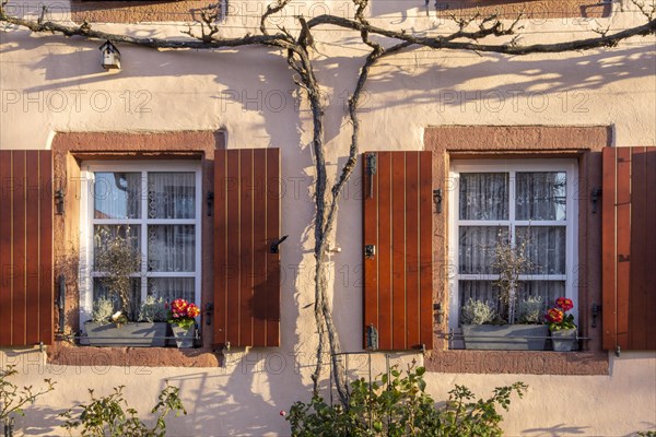 House facade with two windows