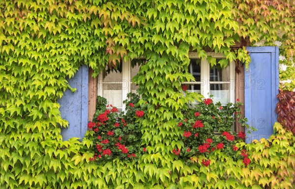 Window with blue shutters