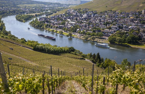 View from Landshut Castle over vineyards to the Moselle valley and the town