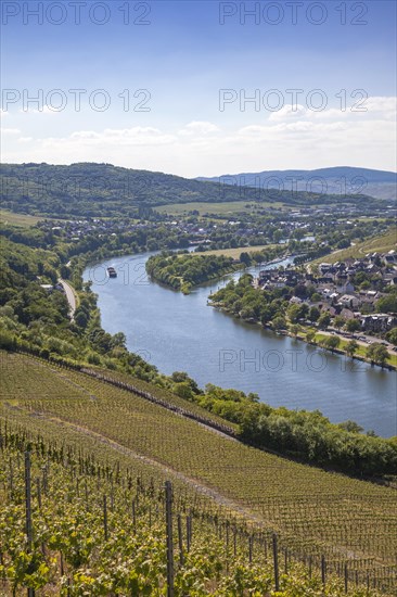 View from Landshut Castle over the Moselle Valley