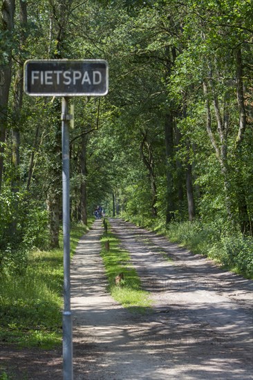 Witte Venn nature reserve