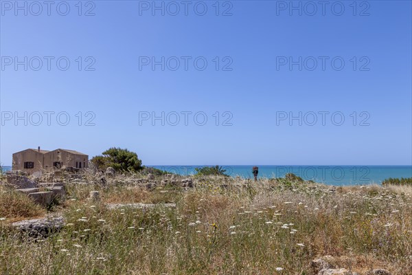 Landscape at the Archaeological Site