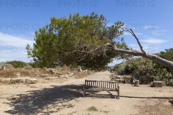 Archaeological site