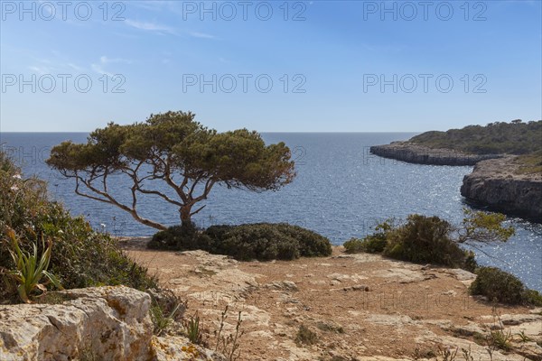 Landscape at Cala Pi