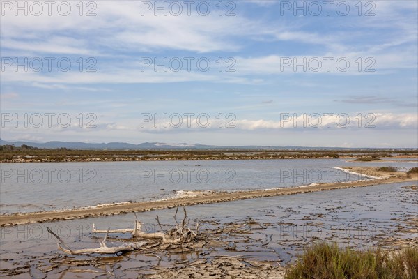 Salobrar de Campos nature park Park