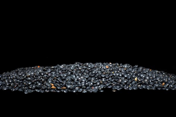 Beluga Lentils