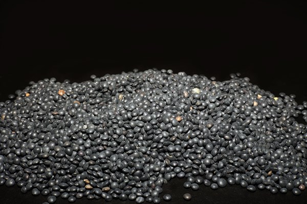 Beluga Lentils