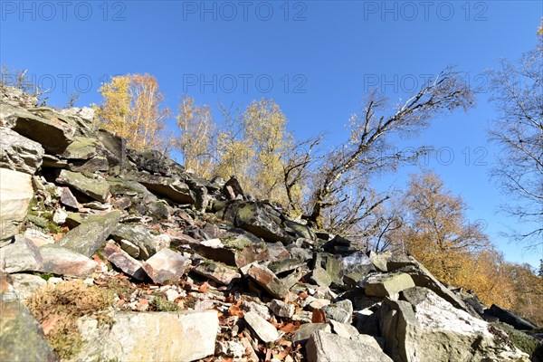 The Moerschieder Burr mountain in the Hunsrueck-Hochwald National Park in autumn with the boulder dumps called Rosselhalde made of Taunus quartzite