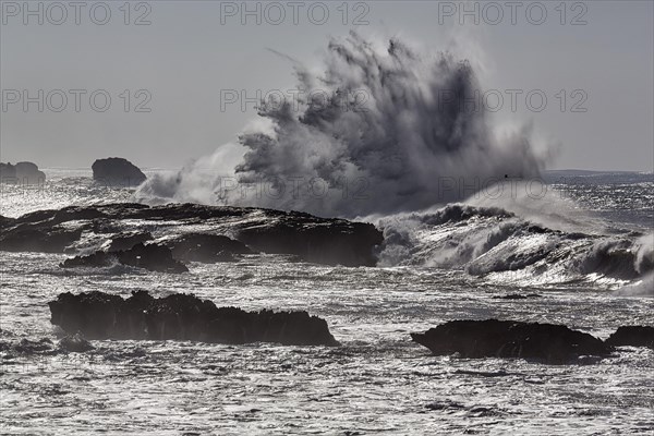 Stormy roaring sea