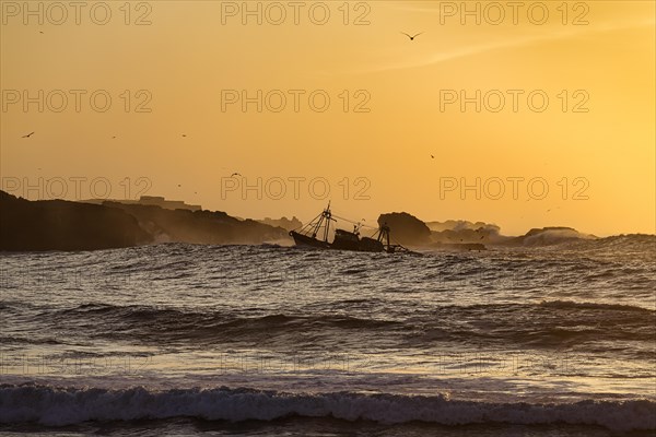 Fishing boat with seagulls between high waves