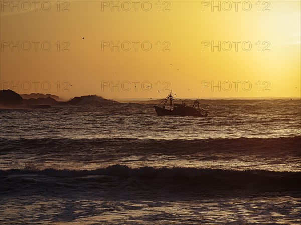 Fishing boat with seagulls