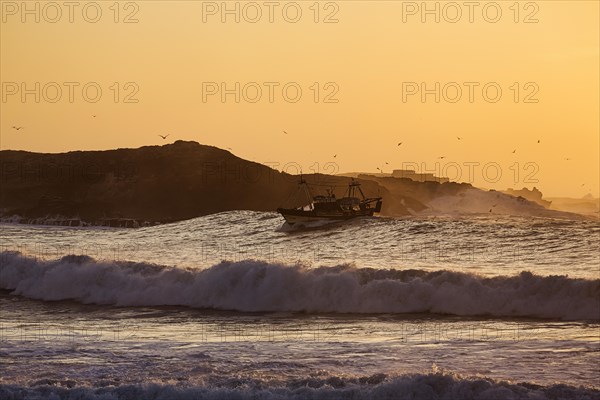 Fishing boat with seagulls on high wave