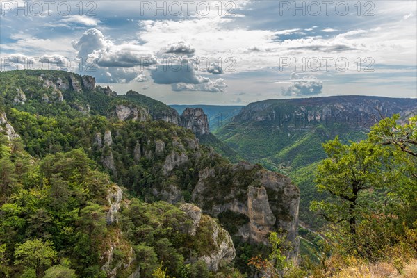 Gorges of Tarn seen from the hiking trail on the rocky outcrops of Causse Mejean above the Tarn Gorge. La bourgarie