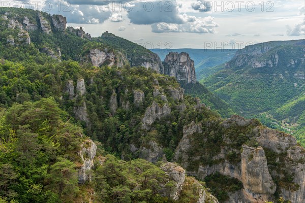 Gorges of Tarn seen from the hiking trail on the rocky outcrops of Causse Mejean above the Tarn Gorge. La bourgarie