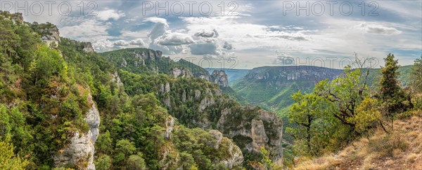 Gorges of Tarn seen from the hiking trail on the rocky outcrops of Causse Mejean above the Tarn Gorge. Panorama. La bourgarie