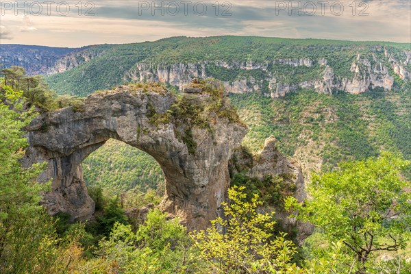 Stone arch above the Gorges du Tarn in the Cevennes National Park. Massif Central France