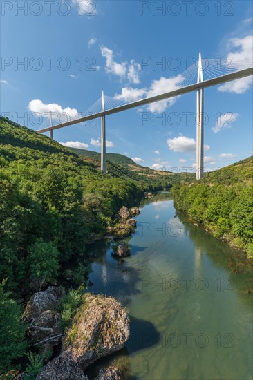 Millau Viaduct bridge