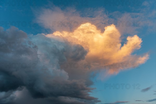 Sky of pink and orange clouds in the evening at sunset. Alsace