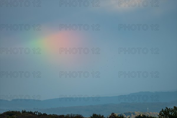 Rainbow halo