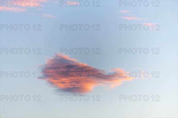 Sky of pink and orange clouds in the evening at sunset. Alsace