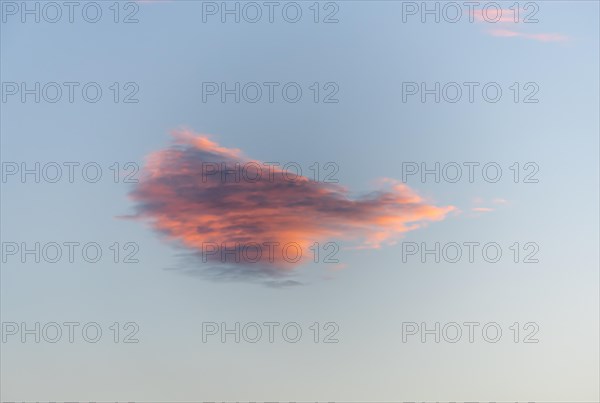 Sky of pink and orange clouds in the evening at sunset. Alsace