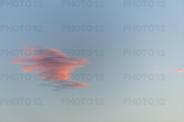 Sky of pink and orange clouds in the evening at sunset. Alsace