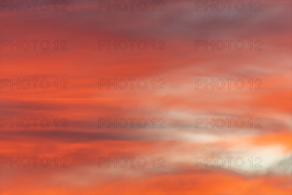 Sky of pink and orange clouds in the evening at sunset. Alsace