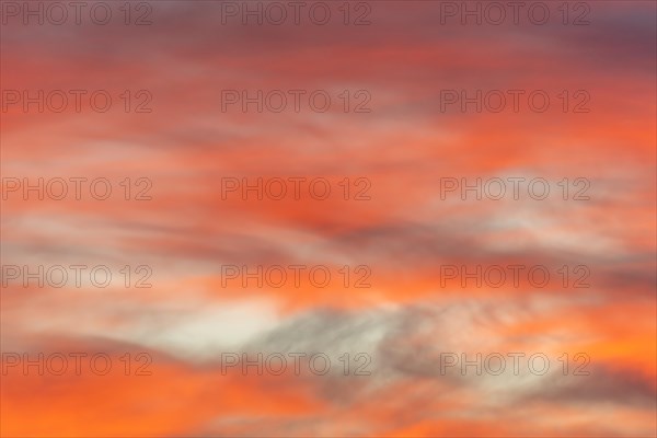 Sky of pink and orange clouds in the evening at sunset. Alsace