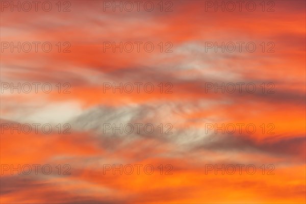 Sky of pink and orange clouds in the evening at sunset. Alsace