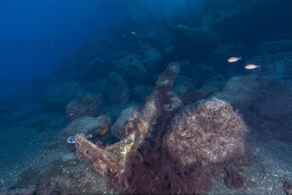 Shipwreck near Puerto del Carmen