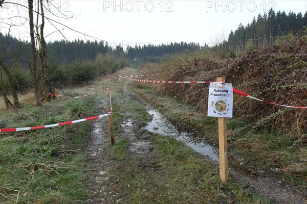 Sign indicating frog spawn in a lane on a forest path