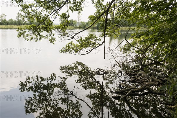 Schaalsee near Zarrentin