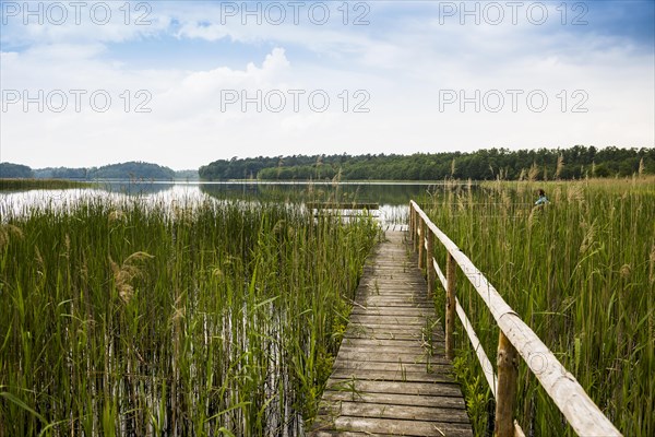 Schaalsee near Seedorf