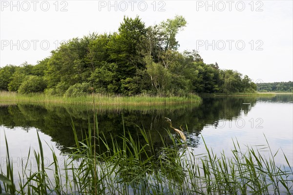 Schaalsee near Seedorf