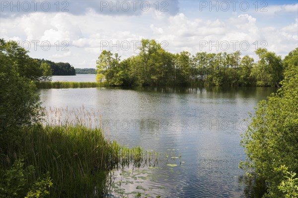 Schaalsee near Lassahn