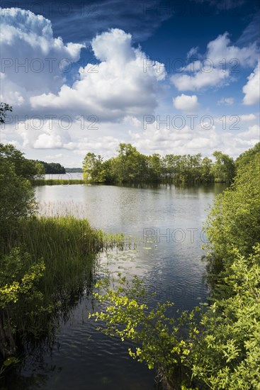 Schaalsee near Lassahn