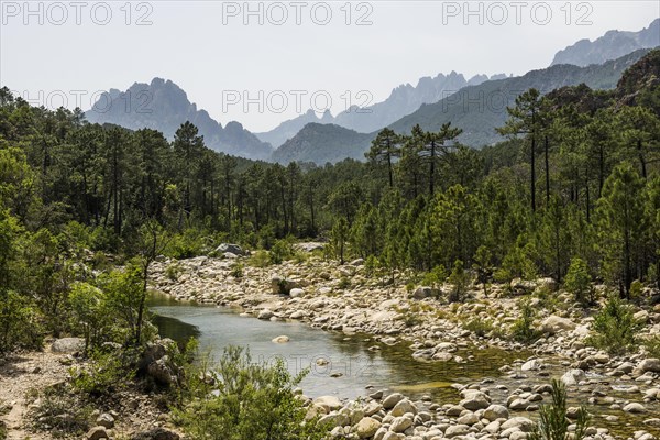 Mountain massif with rocky peaks and pines