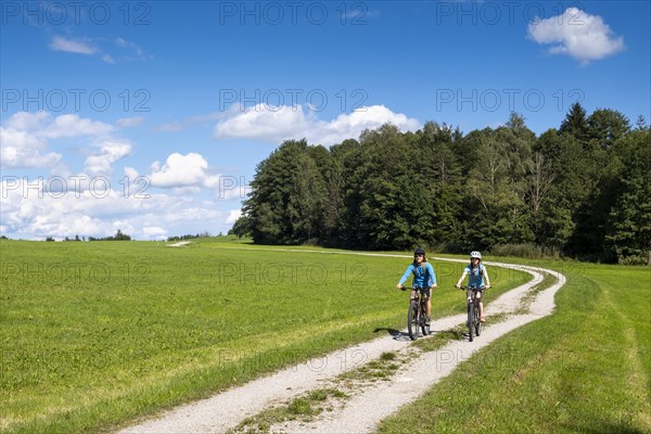 Cyclist