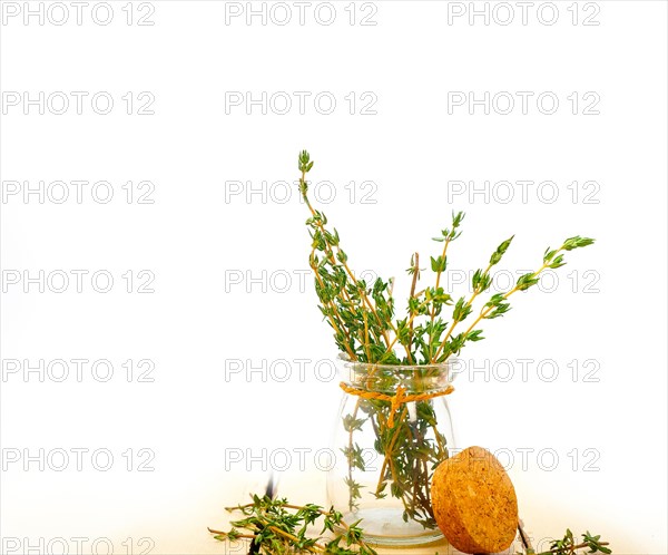 Fresh thyme on a glass jar over a white wood rustic table